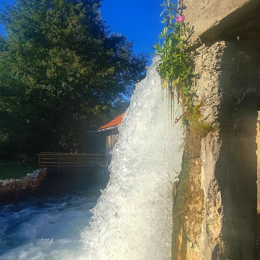 فندق Moara De Piatra Carta  المظهر الخارجي الصورة